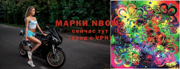 прущий лед Бородино
