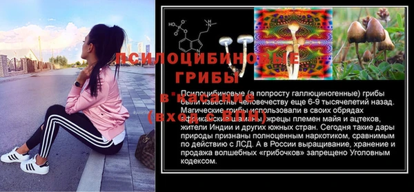 прущий лед Бородино