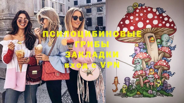 прущие грибы Бугульма