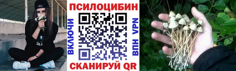 цена наркотик Касли Галлюциногенные грибы MAGIC MUSHROOMS